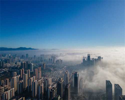 白酒界的“榴莲”——老贵董，你听说过没？