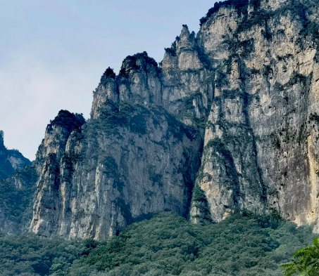 约吗？有一种友情叫“三五挚友”